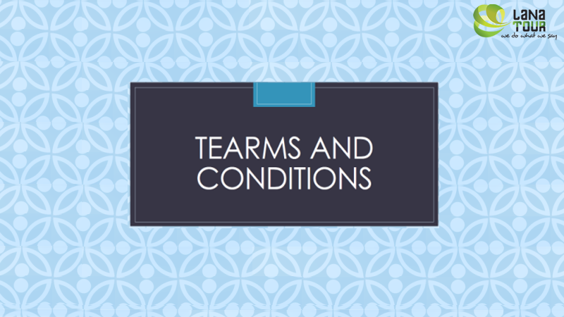 Terms and Conditions